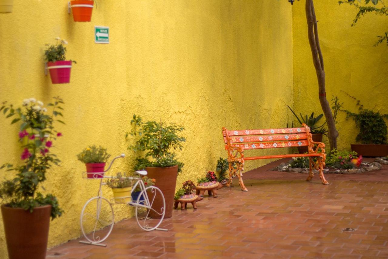 Hostal ทลาคิวปาก ภายนอก รูปภาพ
